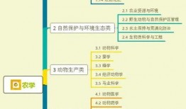 鱼尾零食爆料视频大全集,视频大全集揭秘美食诱惑瞬间