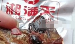 鱼尾零食爆料视频大全集,视频大全集揭秘美食诱惑瞬间