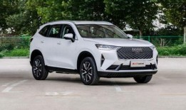 哈佛最新爆料消息,揭秘学术界的惊人内幕