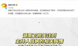 娱乐圈吃瓜表格,明星幕后故事全记录
