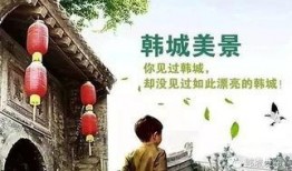 韩城真实爆料事件最新,揭开背后惊人真相