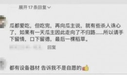湖南女网红被爆料视频播放,揭秘背后真相