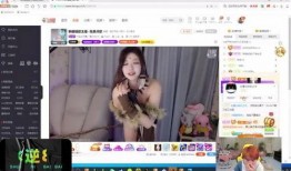 大粉连麦爆料视频大全最新,视频大全背后的惊人真相