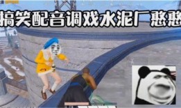 爆料搞笑工厂视频,视频揭秘搞笑瞬间，笑料百出引人捧腹