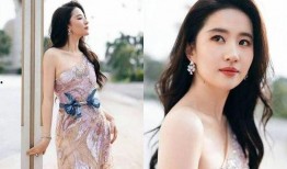 女明星爆料故事大全视频,女明星爆料故事大全视频精彩回顾