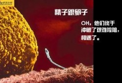 瓶子爆料全过程视频,揭秘事件真相与幕后黑幕