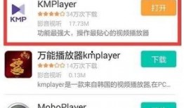 爆料师傅拍视频赚钱吗,爆料师傅拍视频如何实现财富增长
