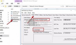 数字演员爆料视频下载安装,下载安装过程全解析