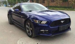 新款野马爆料视频大全集,爆款视频大全集深度解析