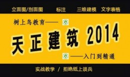 爆料啤酒勾兑视频教程,视频教程曝光勾兑全过程