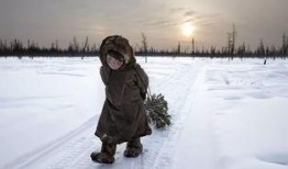 流浪摄影师爆料视频大全