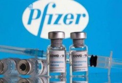 美国辉瑞爆料最新消息,揭示疫苗研发关键进展与潜在影响