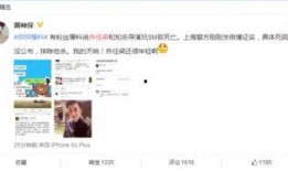天涯八卦爆料乔任梁视频,天涯八卦独家视频揭秘