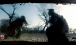 5ccc在线观看视频,精彩内容一网打尽