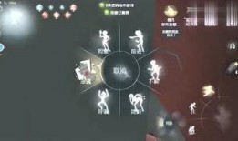 视频爆料私人派对,视频爆料私人派对背后的奢华与争议