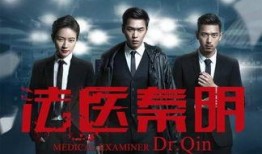 最新连续剧在线观看,最新连续剧在线观看指南