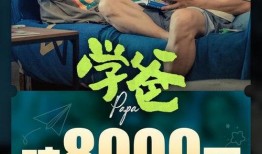 民政先生爆料视频完整版,视频完整版深度解析