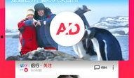 瓜哥吃货视频全集下载免费观看,免费下载，畅享美食盛宴