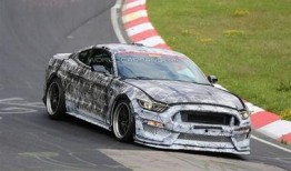 新款野马爆料视频大全集,爆款视频大全集深度解析