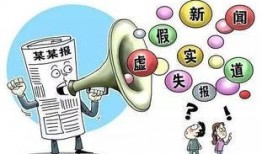 向新闻媒体爆料假新闻,揭秘新闻媒体假新闻爆料背后的真相