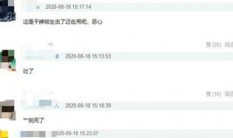 陈赫爆料好友视频,揭秘娱乐圈不为人知的一面