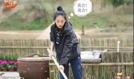 好朋友爆料黄磊视频,好朋友爆料背后的故事