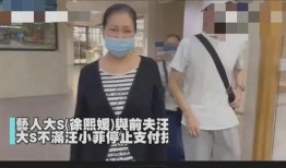 是谁爆料的汪小菲视频播放,幕后爆料者身份引热议