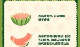 吃瓜人全文免费阅读