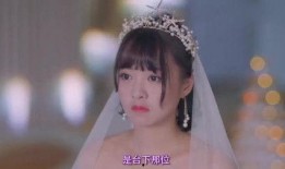 本家新娘 在线观看,浪漫邂逅，缘定三生