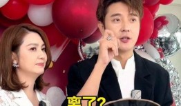 刘小姐爆料毕滢视频全集,全程揭秘事件始末