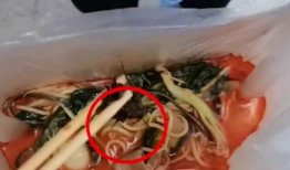 大学生爆料麻辣烫视频,大学生自制美食走红网络