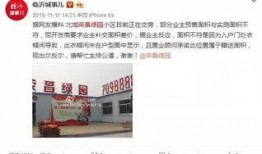 绿园区最新爆料,揭秘神秘事件背后的真相