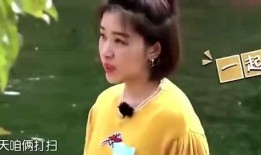 爆料中国娱乐圈的明星,明星背后的真相与争议