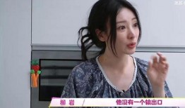 柳岩综艺爆料视频大全集,笑料与泪点交织的精彩瞬间