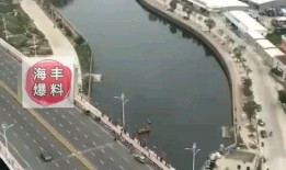 海丰爆料最新,揭秘最新热点事件背后的真相