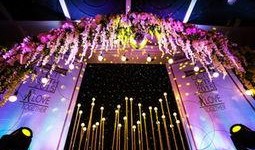 菏泽婚庆媒体爆料视频,一场浪漫婚礼背后的故事