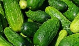 吃瓜群众黄瓜爆料视频是真的吗,吃瓜群众热议