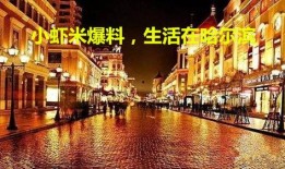 哈尔滨爆料最新消息新闻,突发事件引发社会关注