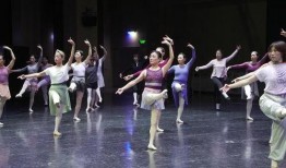 芭蕾爆料真人视频大全集,揭秘真人视频大全集