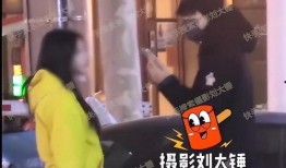 刘大锤爆料辛巴视频播放,揭秘背后惊人真相