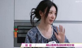 柳岩综艺爆料视频大全集,笑料与泪点交织的精彩瞬间