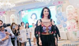 刘小姐爆料毕滢视频全集,全程揭秘事件始末