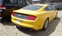 新款野马爆料视频大全集,爆款视频大全集深度解析