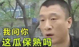 陶虹娱乐圈吃瓜,揭秘明星背后的“吃瓜”故事