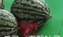 免费微信吃瓜,揭秘网络社交新潮流