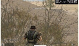 cf先遣服最新爆料7月端游,CF先遣服爆料揭秘