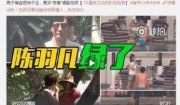 爆料宋大霏事件视频完整版,真相与争议交织