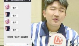 娱乐大爆料老燕子是谁啊,老燕子究竟是谁？