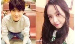 杨洋宋茜狗仔爆料视频播放