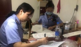 蓬莱市新闻爆料热线,见证城市脉搏，倾听民声心声